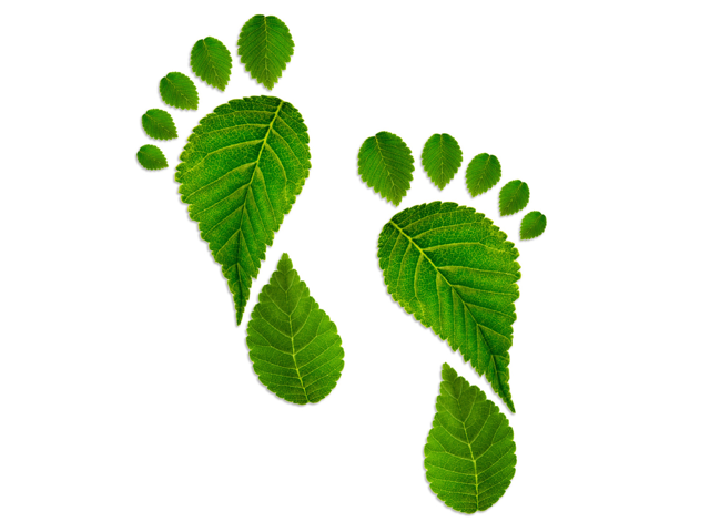event carbon footprint
